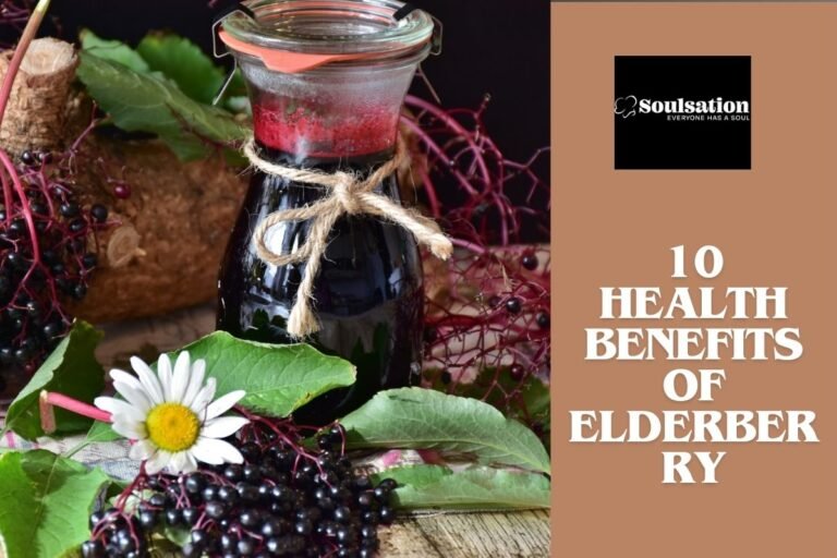 10 Health Benefits of Elderberry